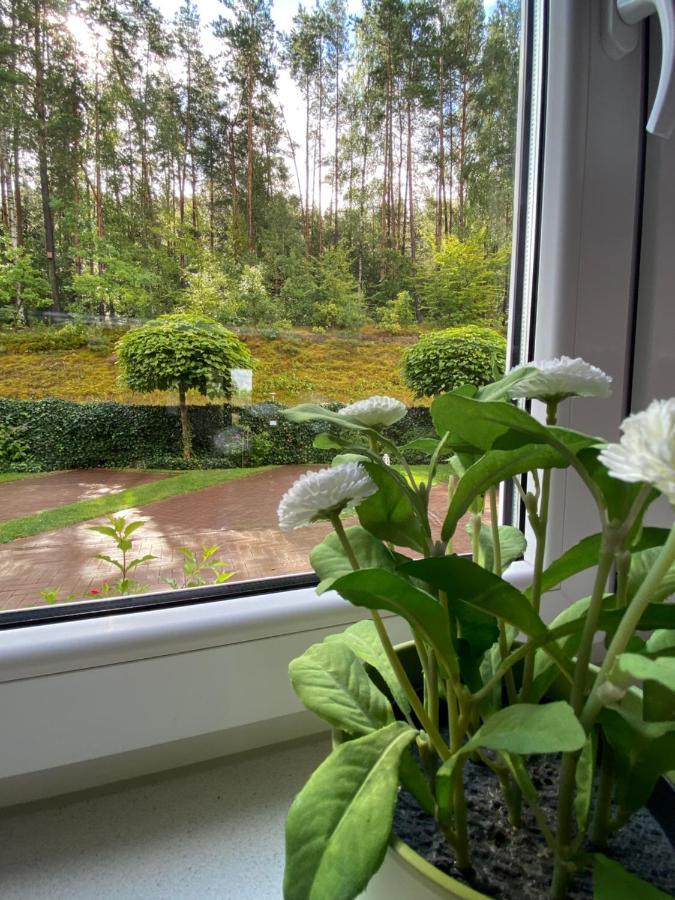 Lesny Apartament Ostrzyce Esterno foto